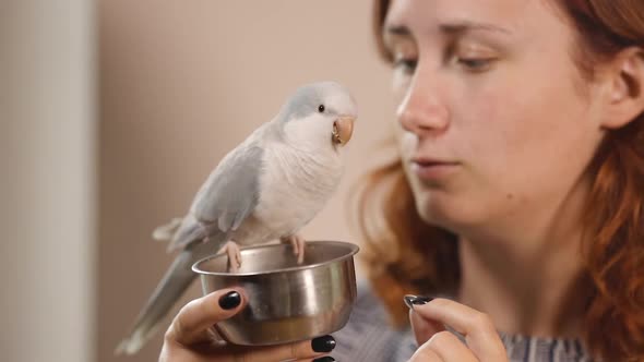 Young Woman Kisses and Pets Light Blue Quaker Parrot Who Eats From Feeder