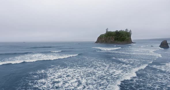 Dense forest and rocks under a haze of fog at Ruby Beach, Olympic National Park, Washington, USA