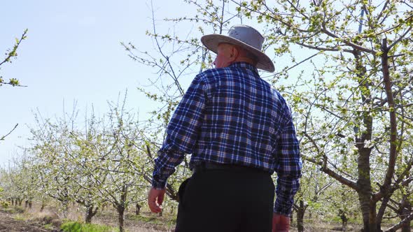 Rear View of Senior Farmer Worker Goes Home After