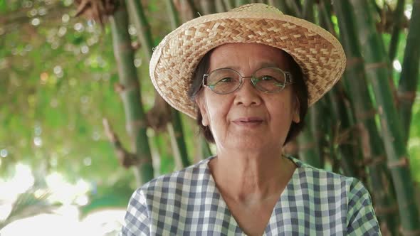 Asian elderly woman wearing a hat and eyeglasses Smile and enjoy life in retirement age.