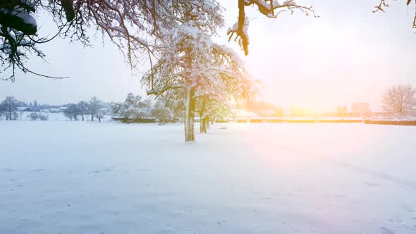 Cold Winter Snow Landscape Scenery