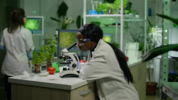 Biologist Researcher Examining Organic Leaf Slide for Medical Expertise