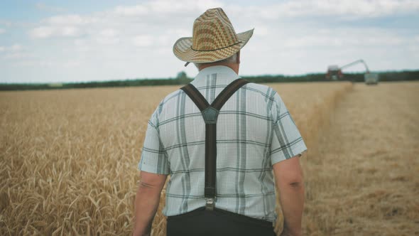 Senior Man Working in a Wheat Field