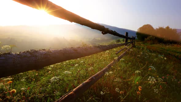 summer landscape - morning in the mountains