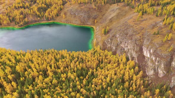 Lake Uchkel Yellow Larch Forest Autumn