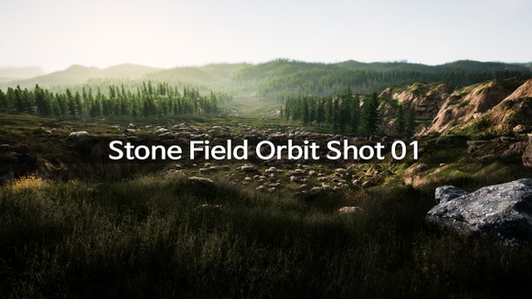 Stone Field Orbit Shot 01