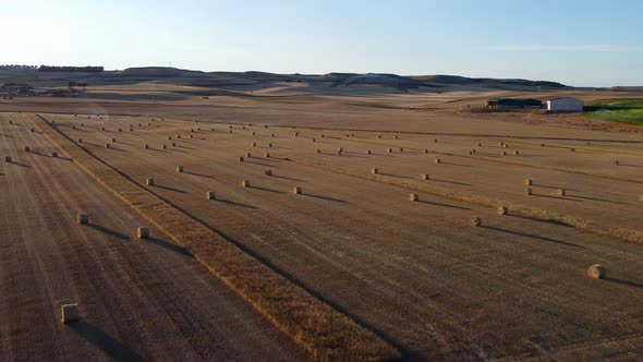Straw bales at sunset seen from the air, drone view