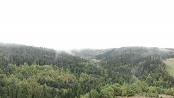 Mountains in fog. Mountain forest after rain.