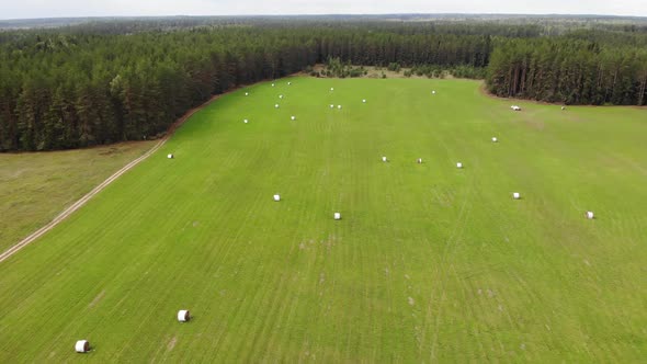 Farmer's Grren Field with Hay Rolls