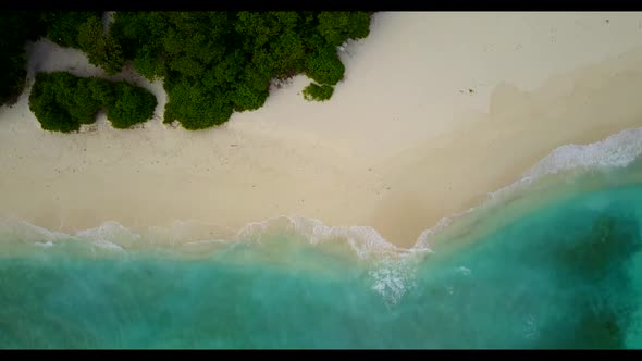 Aerial view landscape of tropical seashore beach wildlife by clear ocean and white sandy background 