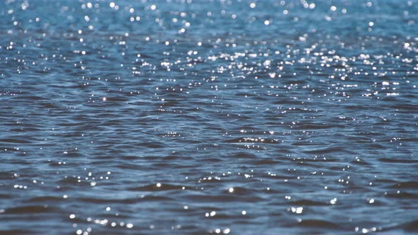 Light Breeze In Sunny Weather alt