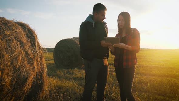 Two Farmers Talking in a Field Against Sunset. Team Farmers Stand in a Field with Tablet and