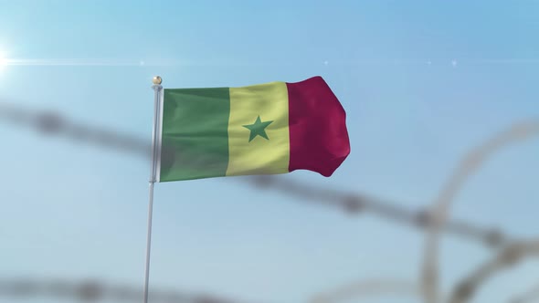 Senegal Flag Behind Border