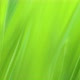 Summer background with close-up of green grass - VideoHive Item for Sale