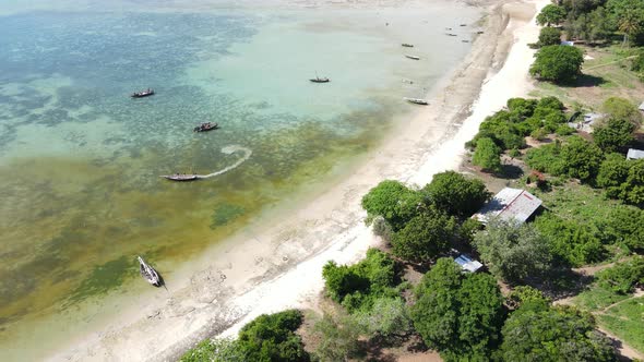 Boats in the Ocean Near the Coast of Zanzibar Tanzania