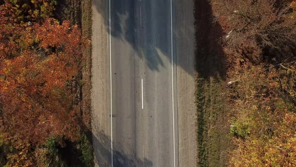 Drone's Eye Autumn Road: Aerial Top Down View of Lane Between Foliage Tree