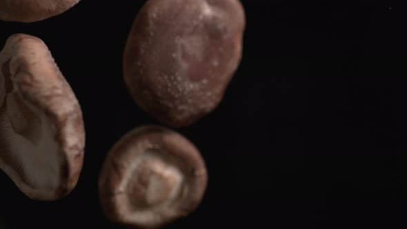 Camera follows throwing shiitake mushroom into water. Slow Motion.