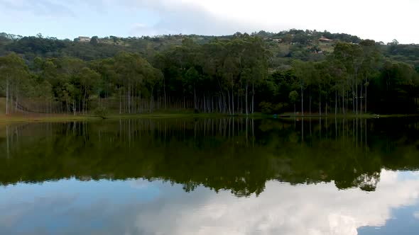 Aerial View of Lake with Forest