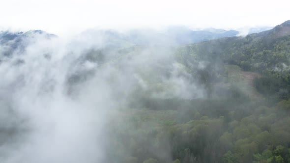 Ukraine, Carpathians: Fog in the Mountains. Aerial