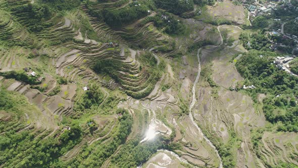 Rice Terraces Mountains