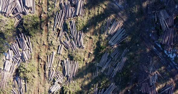 Drone Flying Over Cut Down Wood