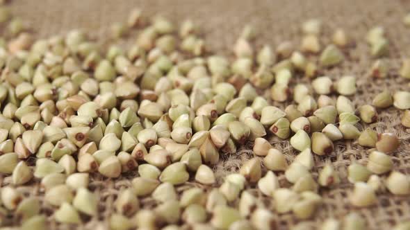 Close up raw green buckwheat groats falling on burlap