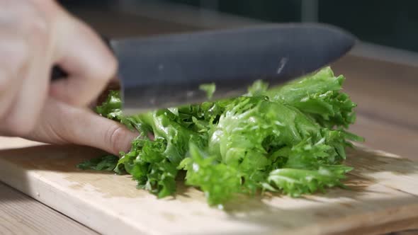 Chef Cuts Fresh Lettuce Leaf Using the Kitchen Knife