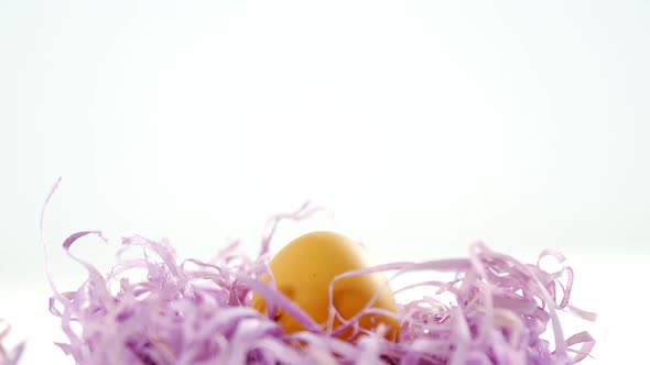 Golden Easter egg in the paper nest on white background