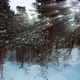 Moving Between Snowy Tree Trunks in Deep Winter Forest Light Rays Playing - VideoHive Item for Sale