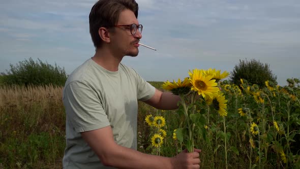 Man with Cigarette and Glasses Is Holding Bouquet of Sunflowers in Field and Looking at Sky