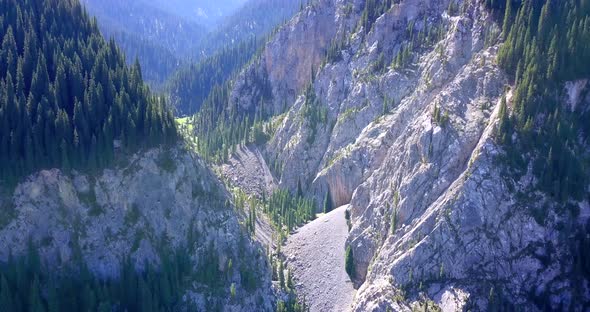 View of the Forest and Gorge From Above.