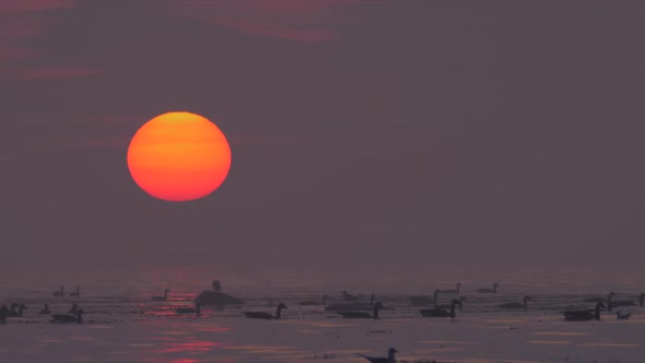 Fiery Sun Ocean Sunrise