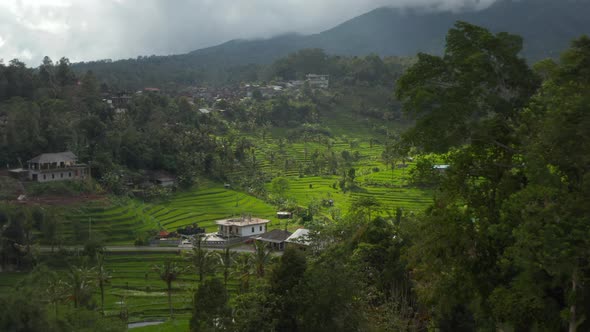 Reveal of Stunning Green Rice Fields on the Hills in Bali
