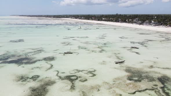 Shore of Zanzibar Island Tanzania at Low Tide Slow Motion