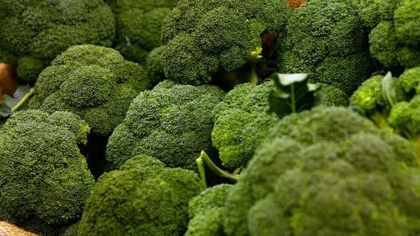 Close-up of vegetables in organic section