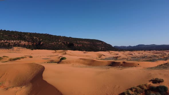 Drone shot flying over pink coral sand dunes state park in a desert in Utah. Aerial landscape view