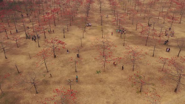 Aerial view of people in a countryside field, Dhaka, Bangladesh.