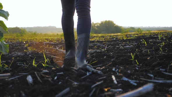 Agricultural Business