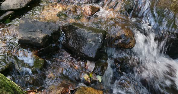 Cascade river in the forest