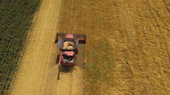 Resolution Drone Flight Over Combine Harvester Harvest Ripe Wheat on a Farm