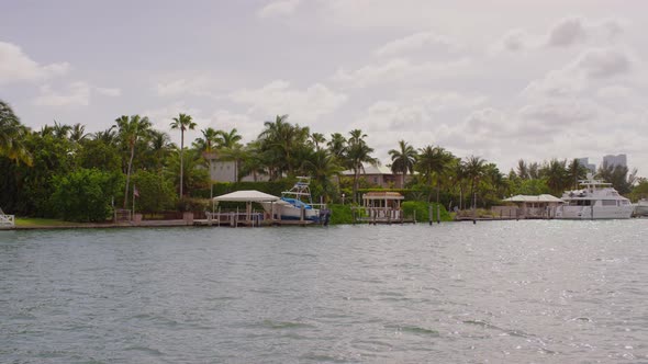 Yachts and green trees on the waterfront