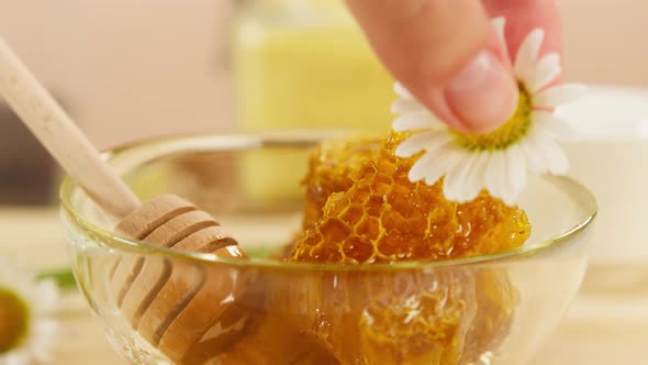 Putting Chamomile Flower on Honeycomb in Bowl Closeup