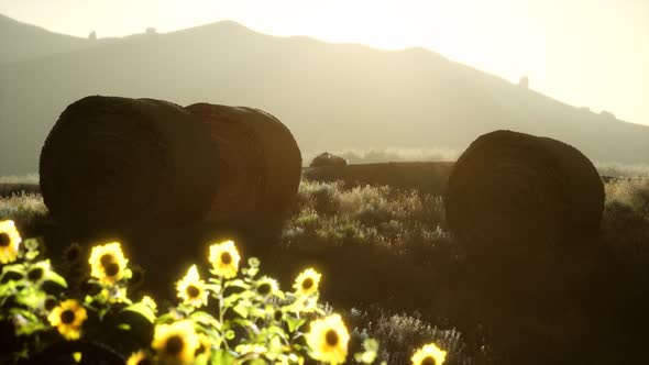 Hay Bales in the Sunset