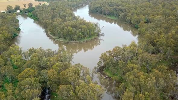Aerial footage of the meandering Murray River and flood plains in eucalypt forest south of Corowa, A