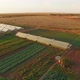 Agricultural Field With Greenhouses Plantations At Sunset - VideoHive Item for Sale