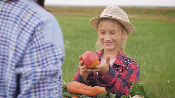 Mother and Daughter Harvesting Fresh Tomatoes. Little Girl Helping Her Mother with Tomato in the