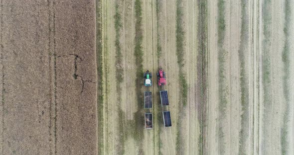 Combine Harvester Harvesting Rapeseed Field. Agriculture, Farmer Harvesting Oilseed Rape Field