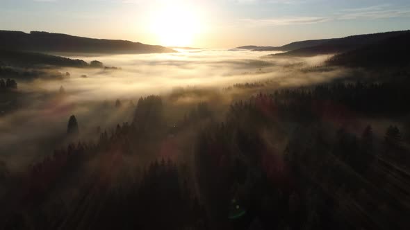 Aerial view of sunrise with fog above lake Schluchsee, Germany