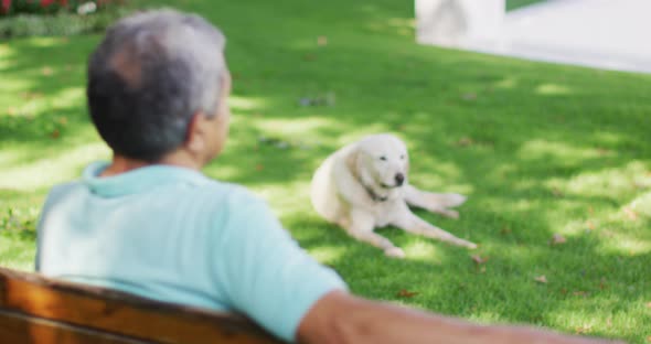 Video of back view of biracial senior man sitting on bench in garden with dog