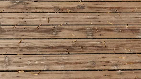 Walking on the Wooden Flooring to the Baltic Sea